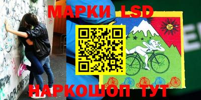 бошки Бийск